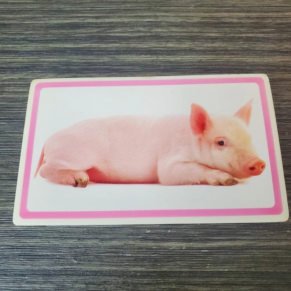 Jumbo Pig Picture Novelty‎ Pencil Eraser Pop by dci 3